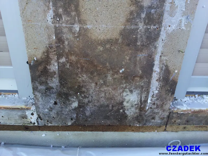 Durchfeuchtete Wand zwischen zwei Fensterelementen